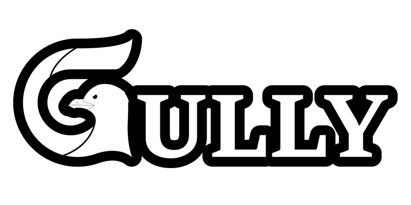 Gully Staking On Flare